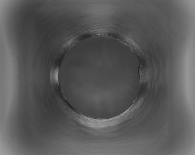 X0000111120047200906301319