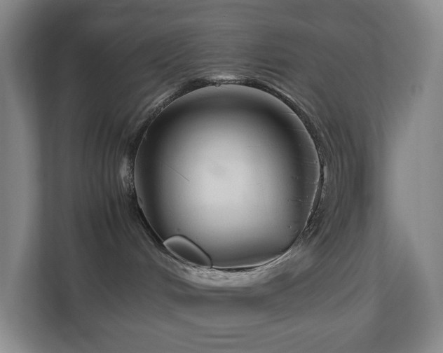 X0000111120048200906301319