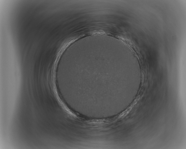 X0000111120049200906301319