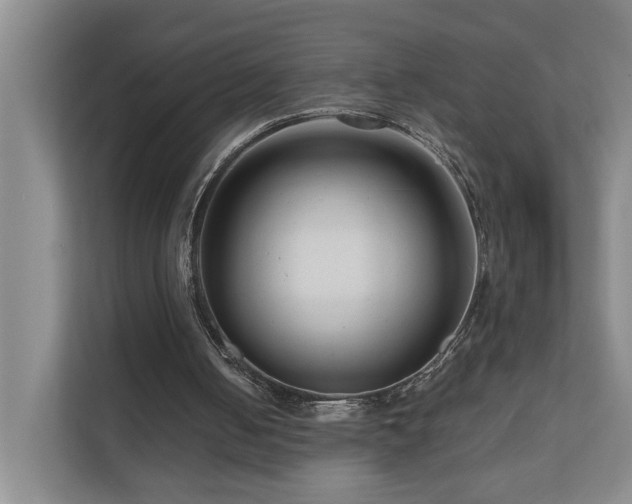 X0000111120050200906301319