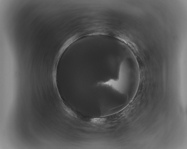 X0000111120051200906301319