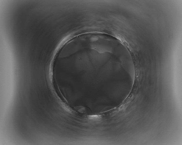 X0000111120053200906301319