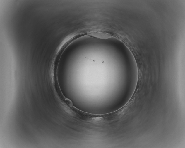 X0000111120054200906301319