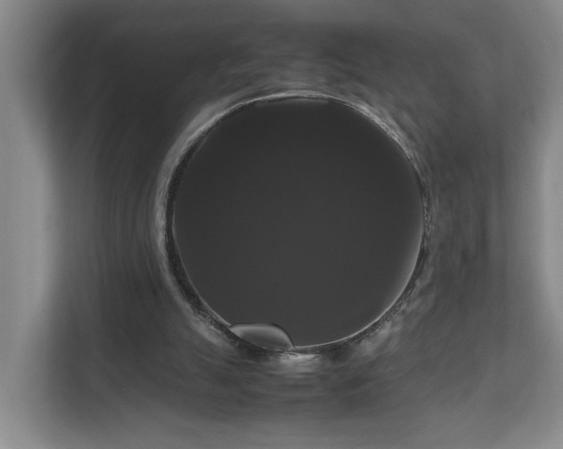 X0000111120055200906301319