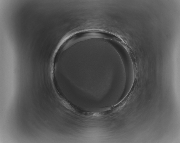 X0000111120056200906301319