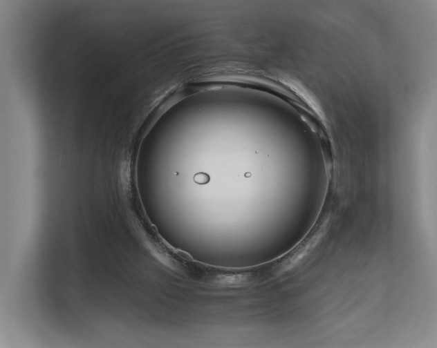 X0000111120057200906301319