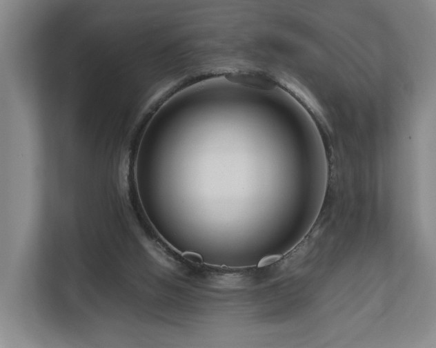 X0000111120058200906301319