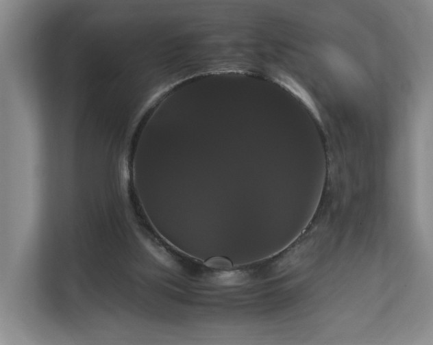 X0000111120059200906301319