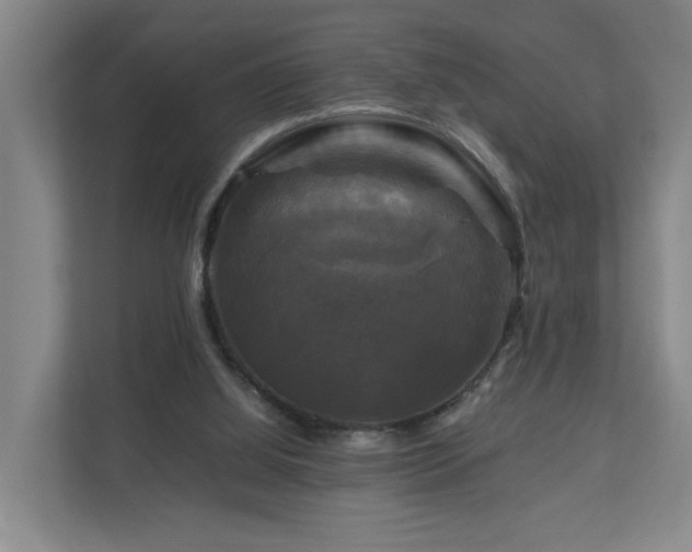 X0000111120060200906301319