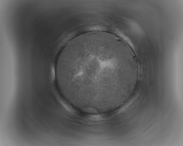 X0000111120061200906301319