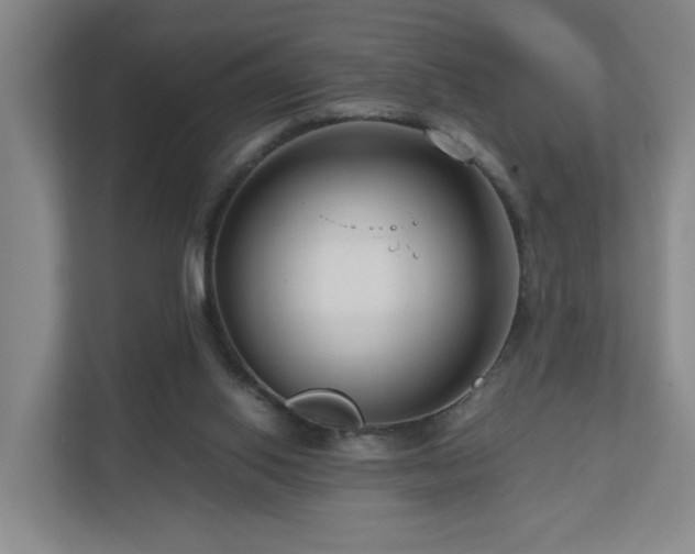 X0000111120062200906301319