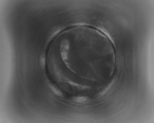 X0000111120063200906301319