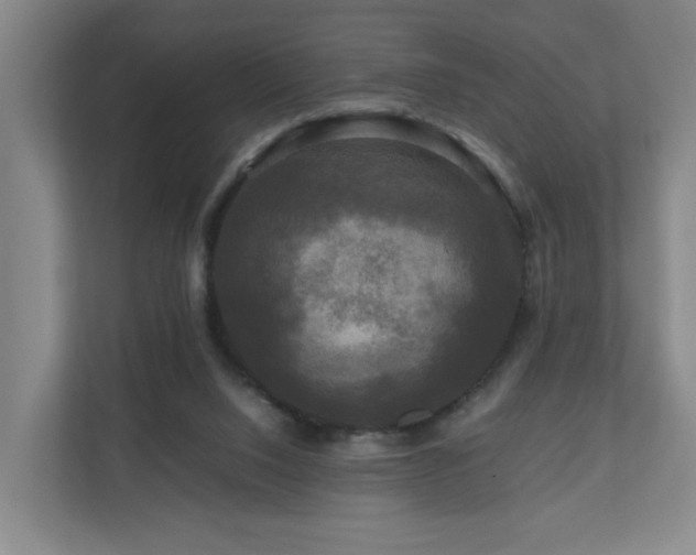 X0000111120064200906301319