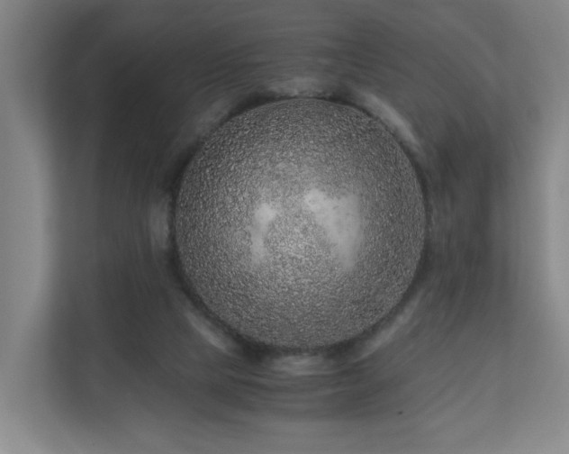 X0000111120065200906301319