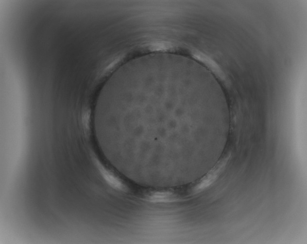 X0000111120066200906301319