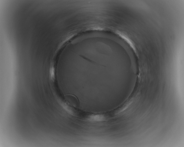 X0000111120067200906301319