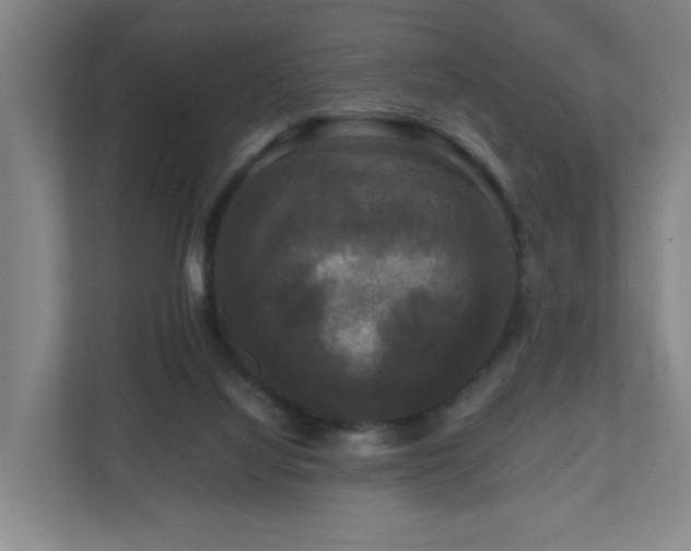 X0000111120068200906301319