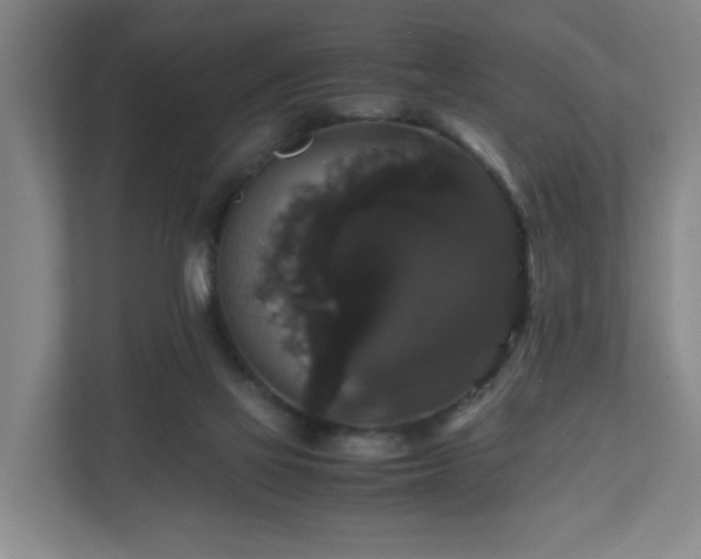 X0000111120069200906301319