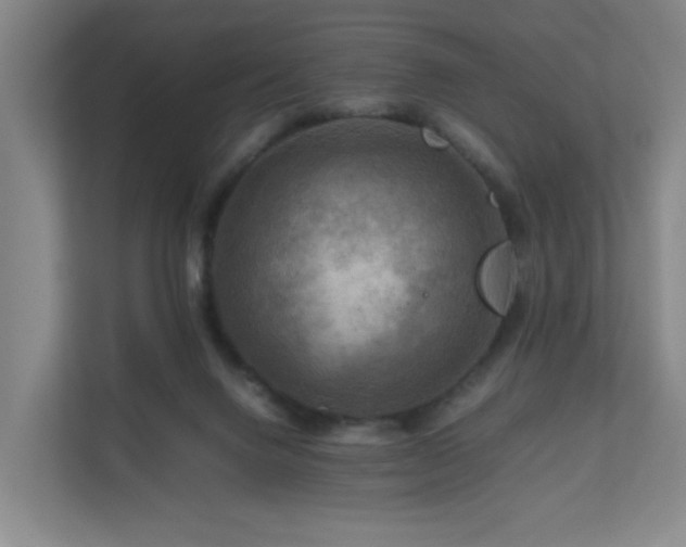 X0000111120072200906301319