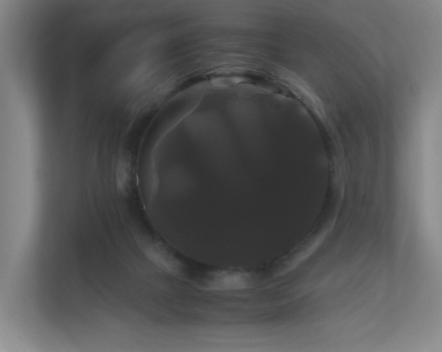 X0000111120073200906301319