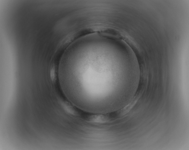 X0000111120074200906301319