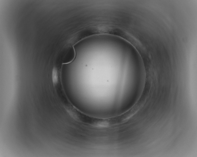 X0000111120075200906301319