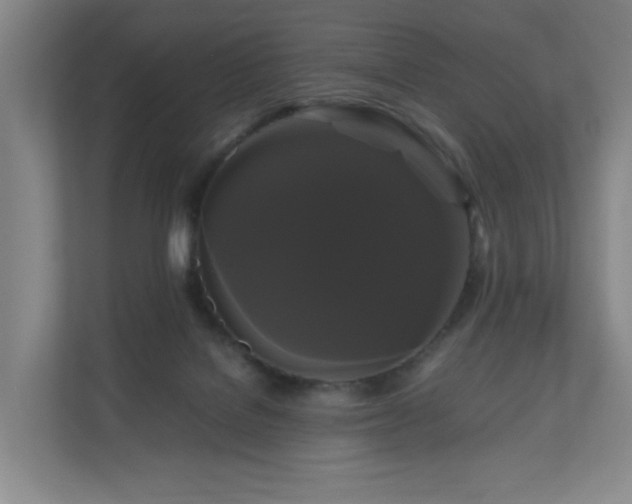 X0000111120076200906301319