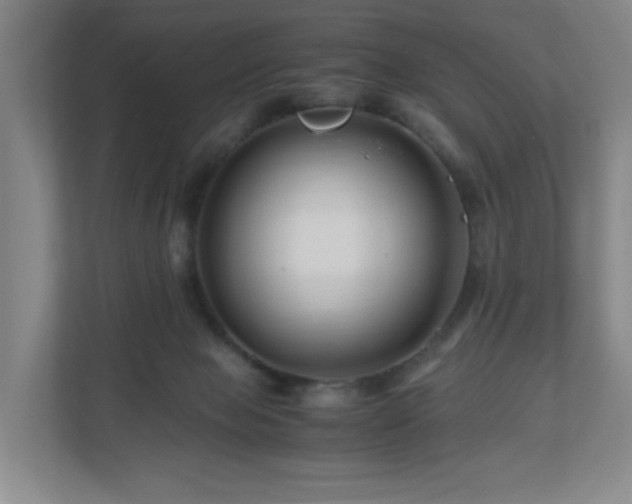 X0000111120077200906301319