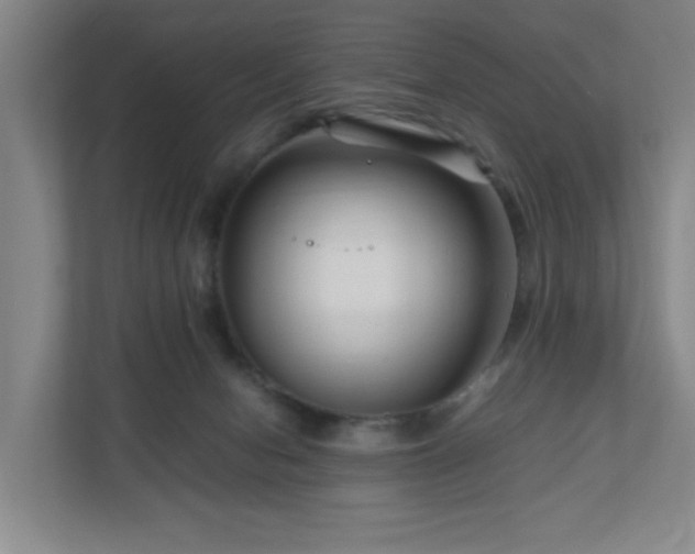 X0000111120078200906301319