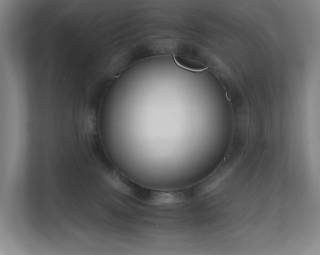 X0000111120083200906301319