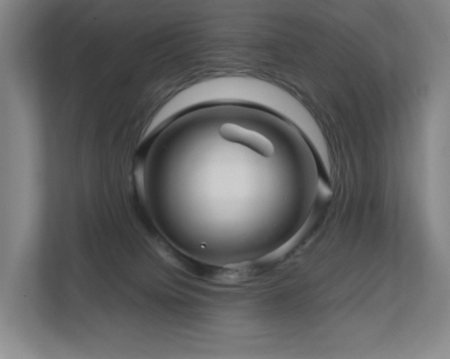 X0000111120084200906301319