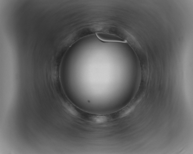 X0000111120085200906301319