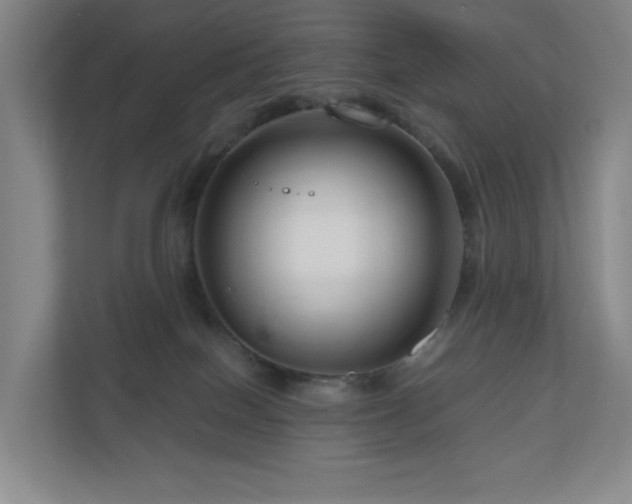 X0000111120086200906301319