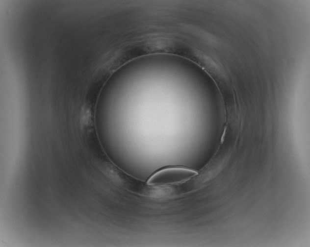 X0000111120087200906301319