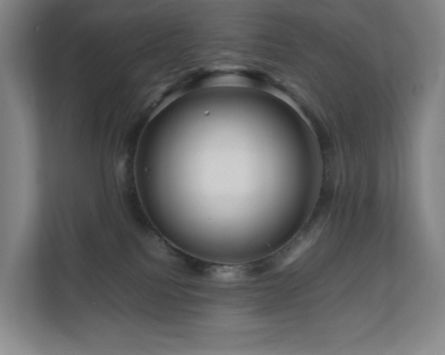 X0000111120088200906301319