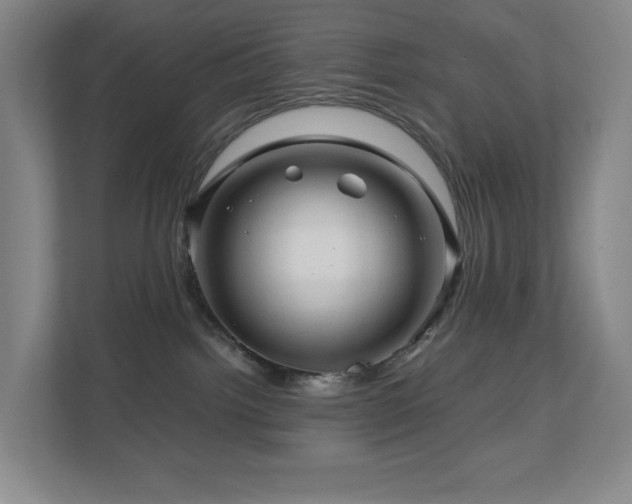 X0000111120092200906301319