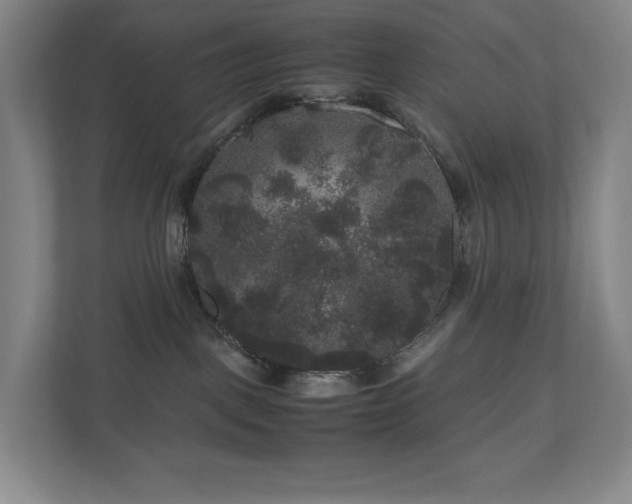 X0000111120093200906301319