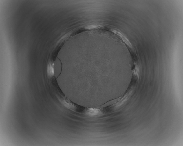 X0000111120095200906301319