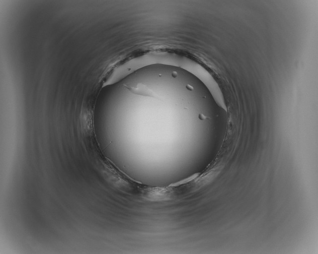 X0000111120096200906301319