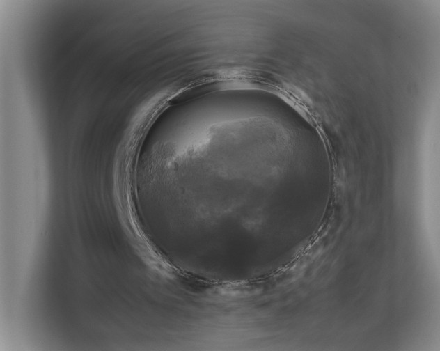 X0000111120097200906301319