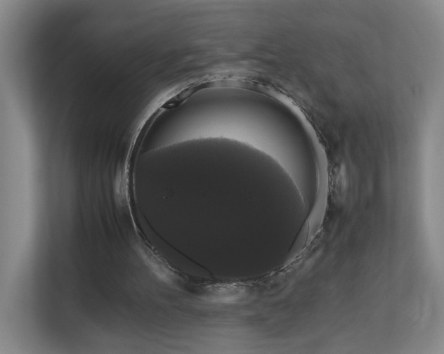 X0000111120100200906301319