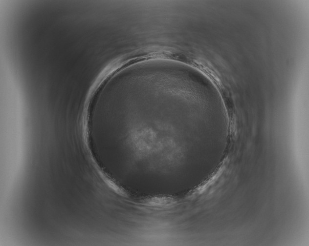 X0000111120101200906301319