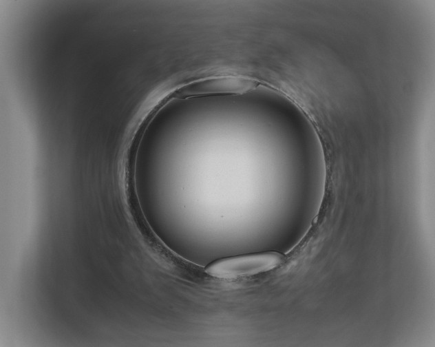 X0000111120103200906301319