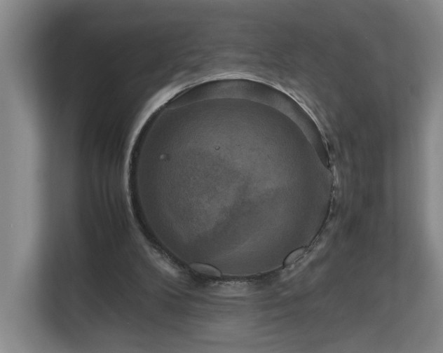 X0000111120104200906301319