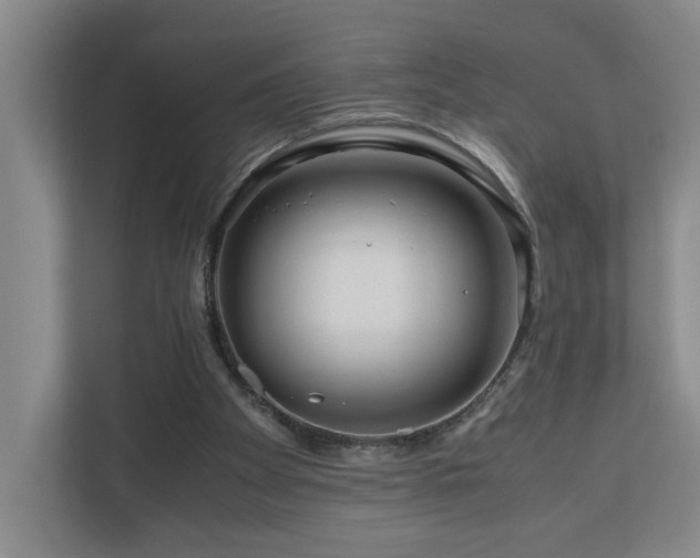 X0000111120105200906301319