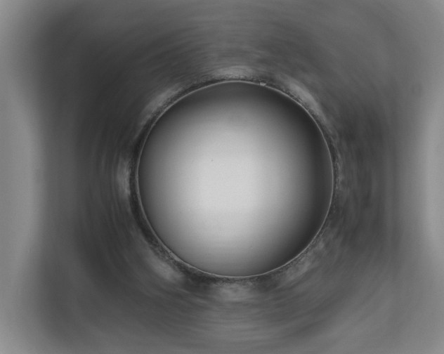 X0000111120106200906301319