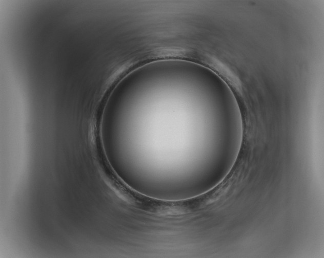 X0000111120107200906301319