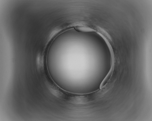 X0000111120108200906301318