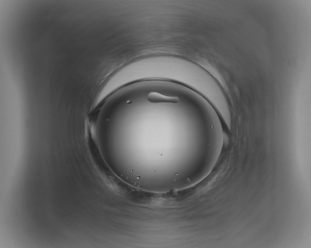 X0000111120109200906301318