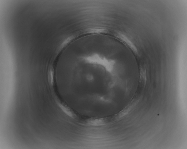 X0000111120110200906301318